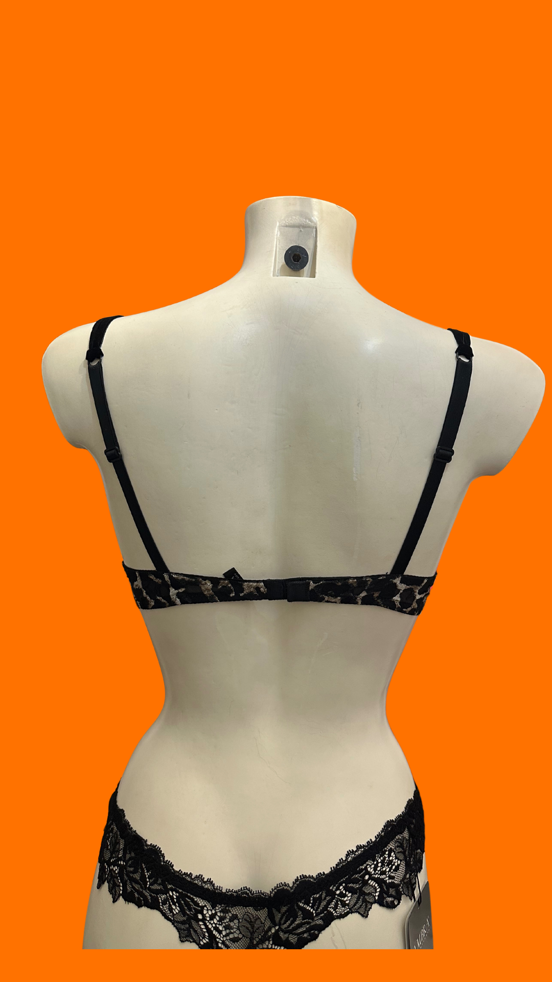 Reggiseno Push-Up Ambra Lingerie