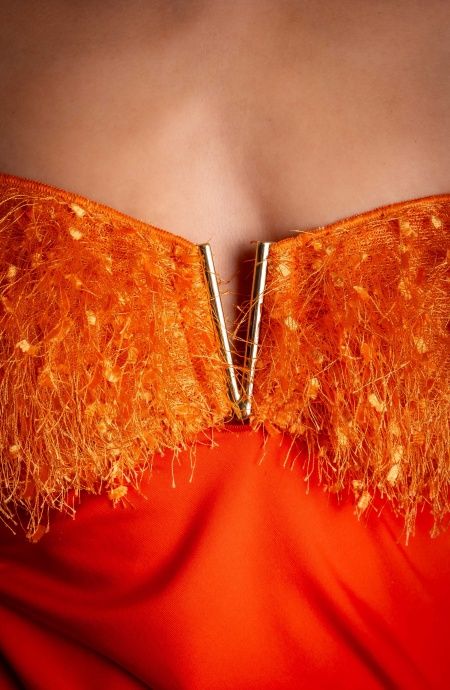Mini Abito Tubino Plumage Pin-Up Stars