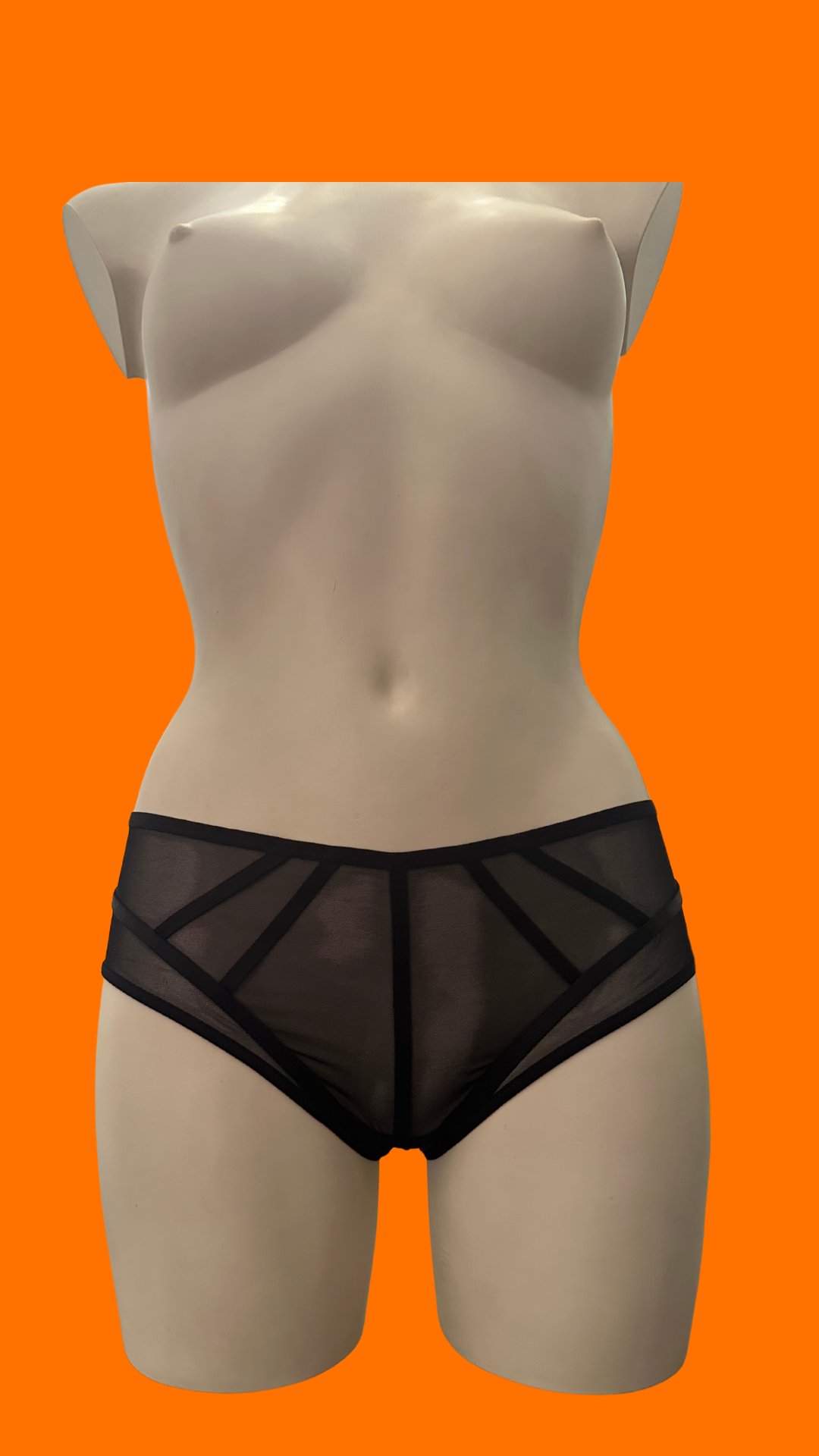 Culotte Eco-Lingerie